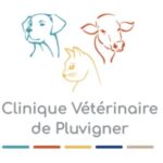 Image de Clinique Vétérinaire de Pluvigner